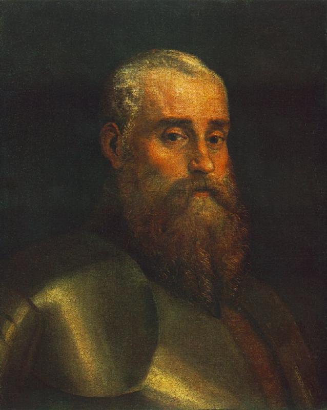 VERONESE (Paolo Caliari) Portrait of Agostino Barbarigo wr